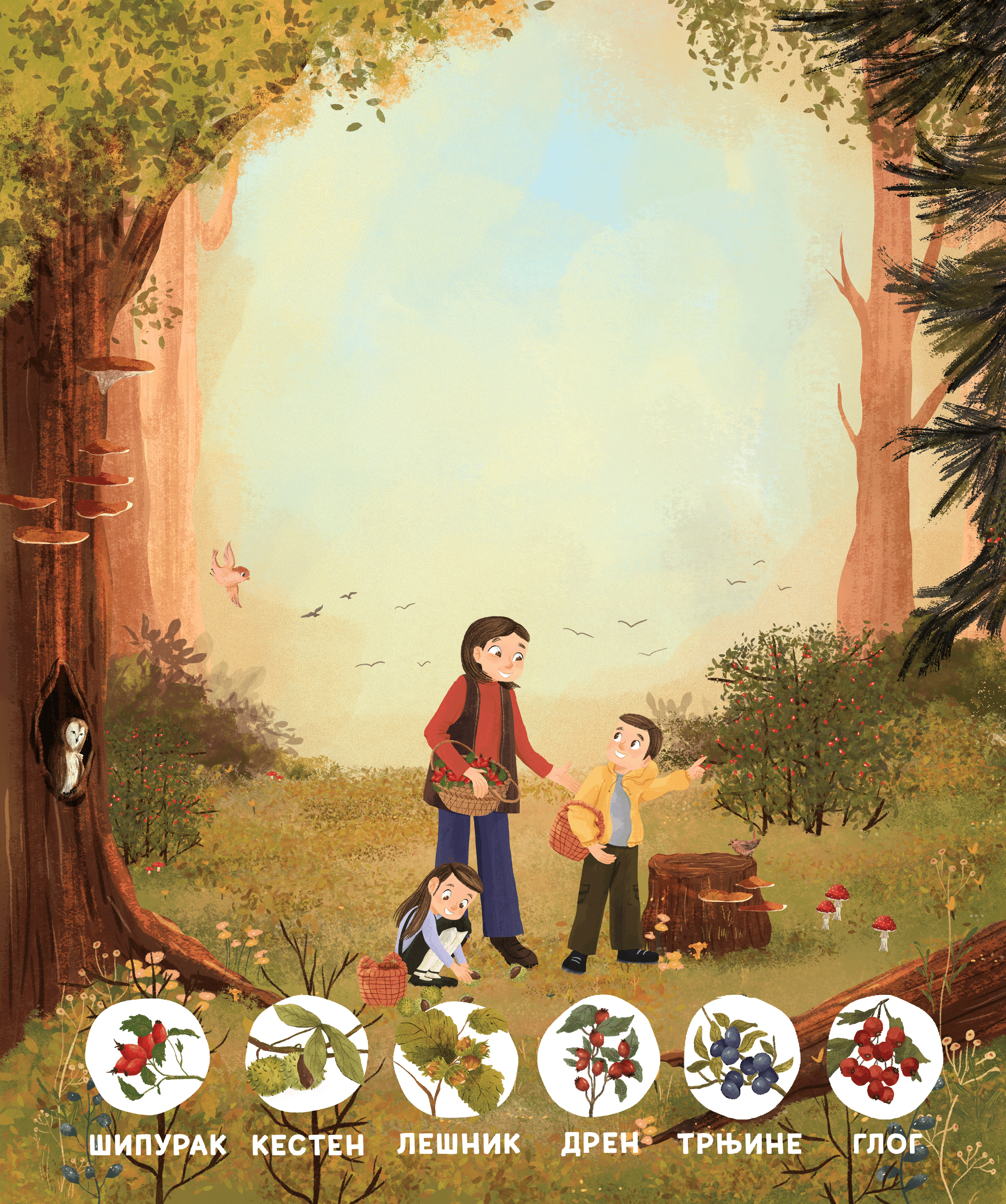 Illustration by Andrijana Hasan